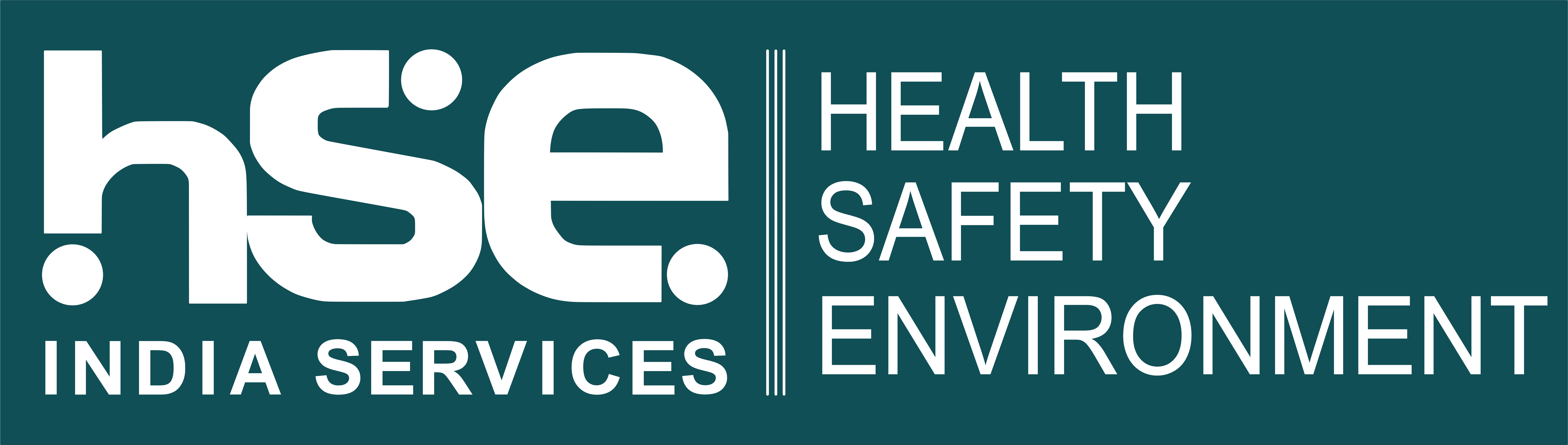 HSE India Services